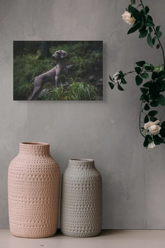 Tablou Canvas, "Câinele în pădurea întunecată", Majestic, Vigilant, Canine, Forest, Graceful, Alert, Stature, Nature, 39 x 26 cm – poza 4