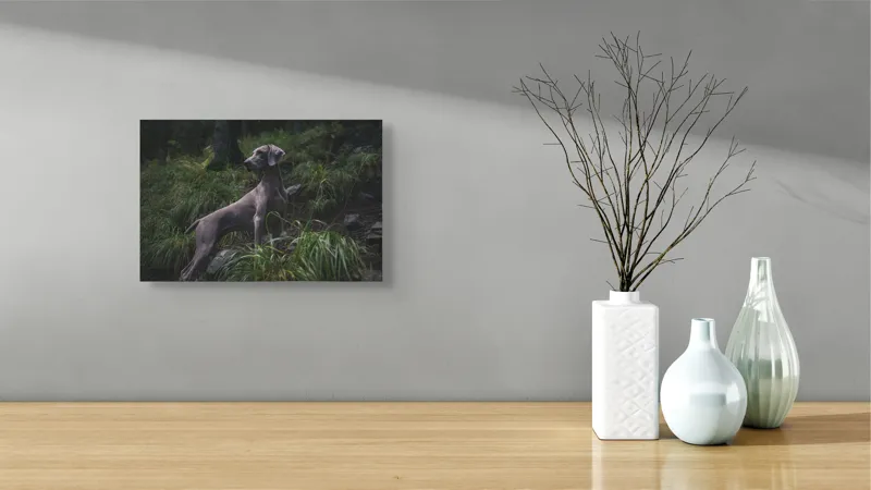 Tablou Canvas, "Câinele în pădurea întunecată", Majestic, Vigilant, Canine, Forest, Graceful, Alert, Stature, Nature, 39 x 26 cm – poza 8