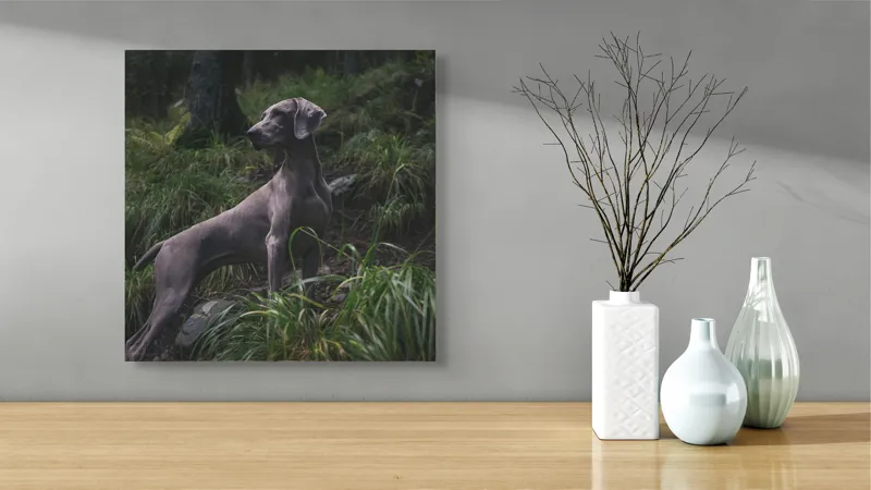 Tablou Canvas, "Câinele în pădurea întunecată", Majestic, Vigilant, Canine, Forest, Graceful, Alert, Stature, Nature, 50 x 50 cm – poza 3