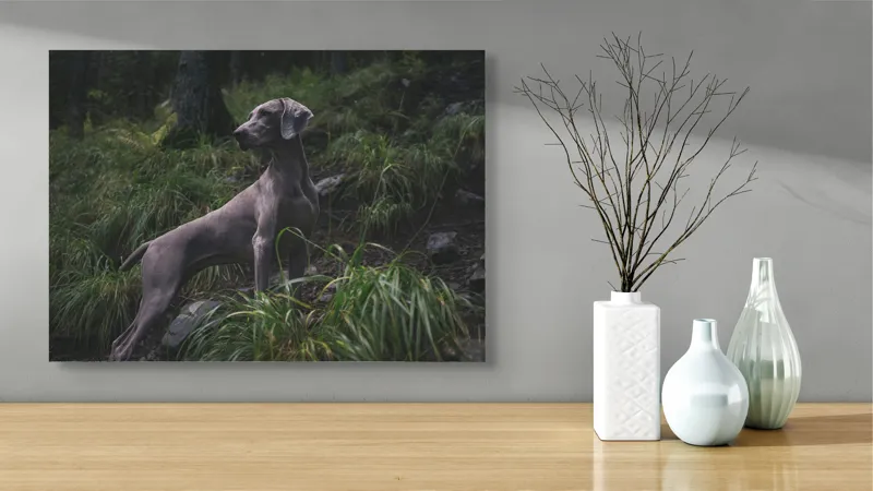 Tablou Canvas, "Câinele în pădurea întunecată", Majestic, Vigilant, Canine, Forest, Graceful, Alert, Stature, Nature, 70 x 50 cm – poza 3
