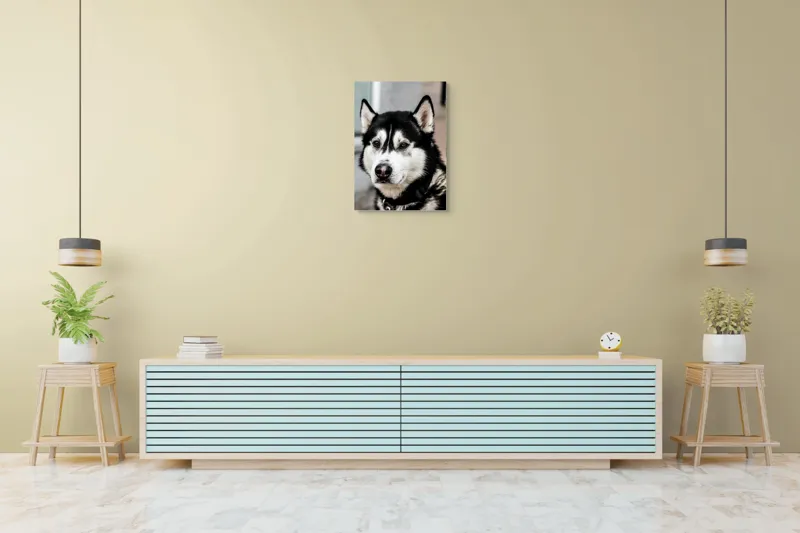 Tablou Canvas, "Husky atent privind în zare", Câine, Husky, Blană, Alb, Negru, Urechi, Curiozitate, Privire, Nas, Guler, 50 x 70 cm – poza 6