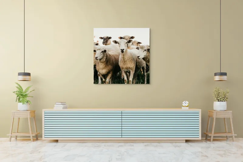 Tablou Canvas, "Oile adunate în zori liniștite", Oi, Turmă, Iarbă, Blană, Apropiere, Natură, Calm, Verde, Pășune, Animale, 100 x 100 cm – poza 5