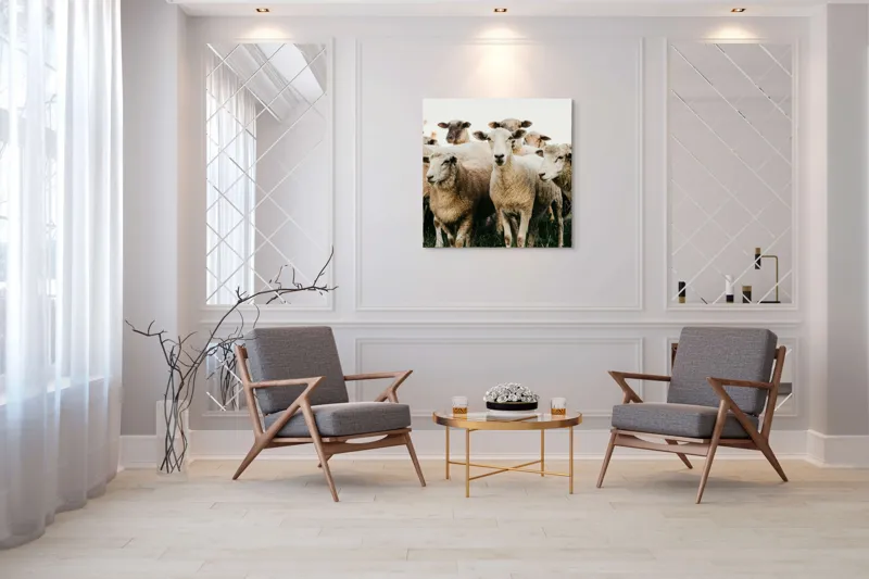 Tablou Canvas, "Oile adunate în zori liniștite", Oi, Turmă, Iarbă, Blană, Apropiere, Natură, Calm, Verde, Pășune, Animale, 100 x 100 cm – poza 7