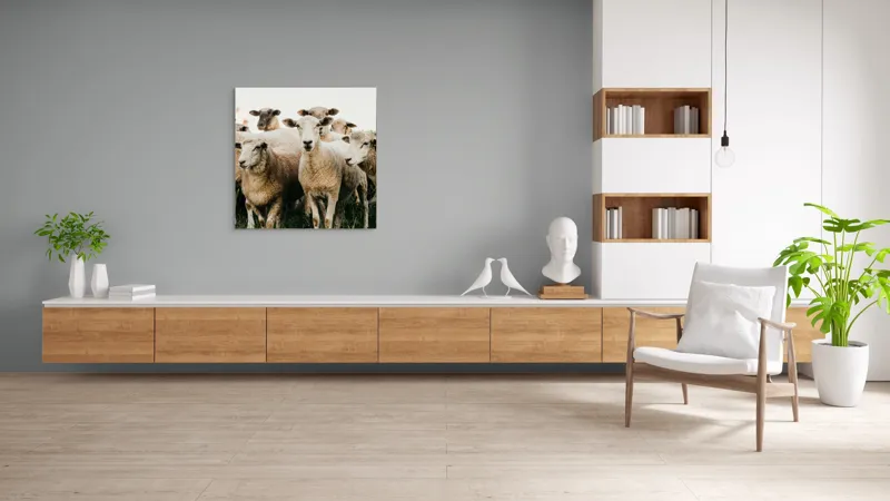 Tablou Canvas, "Oile adunate în zori liniștite", Oi, Turmă, Iarbă, Blană, Apropiere, Natură, Calm, Verde, Pășune, Animale, 100 x 100 cm – poza 8