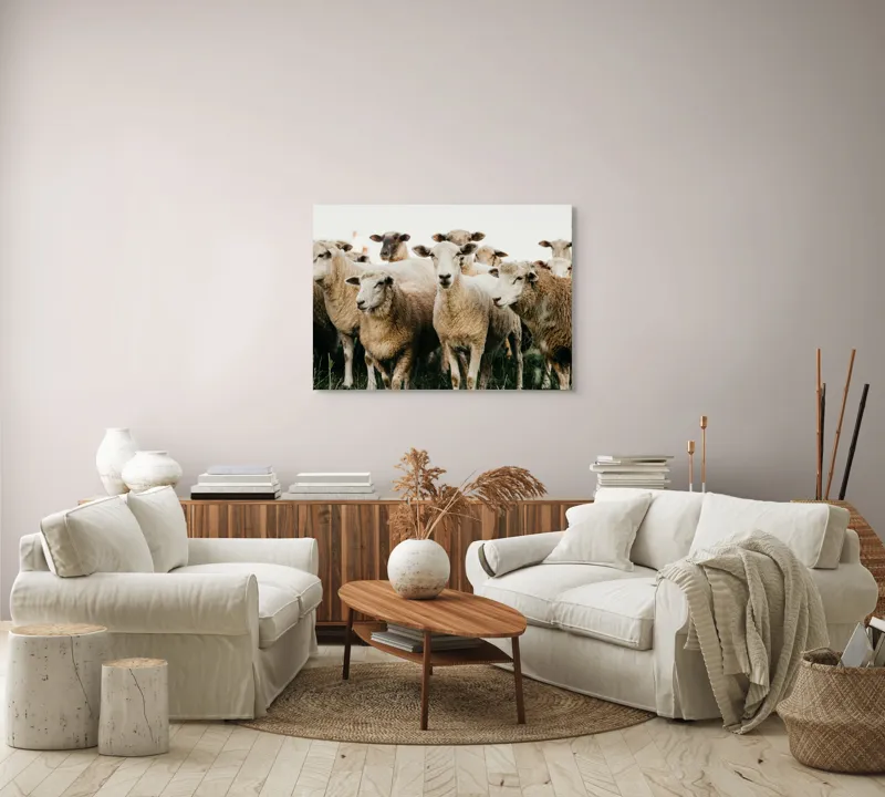 Tablou Canvas, "Oile adunate în zori liniștite", Oi, Turmă, Iarbă, Blană, Apropiere, Natură, Calm, Verde, Pășune, Animale, 100 x 70 cm – poza 3
