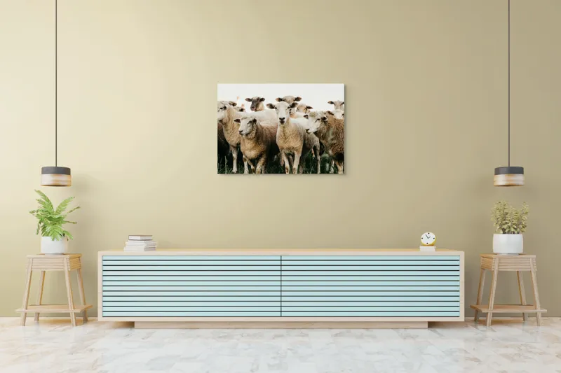 Tablou Canvas, "Oile adunate în zori liniștite", Oi, Turmă, Iarbă, Blană, Apropiere, Natură, Calm, Verde, Pășune, Animale, 100 x 70 cm – poza 4