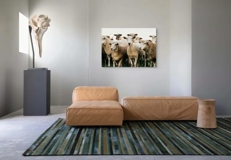 Tablou Canvas, "Oile adunate în zori liniștite", Oi, Turmă, Iarbă, Blană, Apropiere, Natură, Calm, Verde, Pășune, Animale, 100 x 70 cm – poza 7