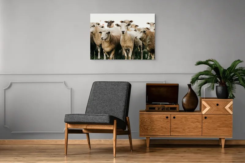 Tablou Canvas, "Oile adunate în zori liniștite", Oi, Turmă, Iarbă, Blană, Apropiere, Natură, Calm, Verde, Pășune, Animale, 100 x 70 cm – poza 8