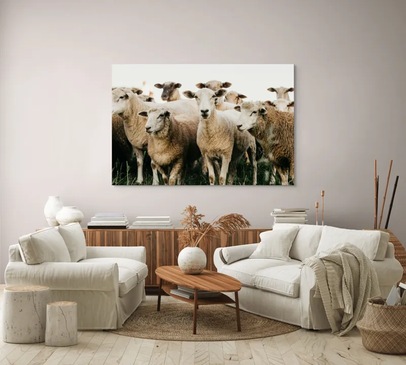 Tablou Canvas, "Oile adunate în zori liniștite", Oi, Turmă, Iarbă, Blană, Apropiere, Natură, Calm, Verde, Pășune, Animale, 150 x 100 cm – poza 3