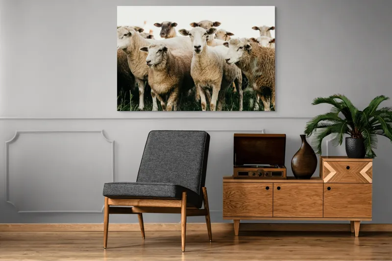 Tablou Canvas, "Oile adunate în zori liniștite", Oi, Turmă, Iarbă, Blană, Apropiere, Natură, Calm, Verde, Pășune, Animale, 150 x 100 cm – poza 8