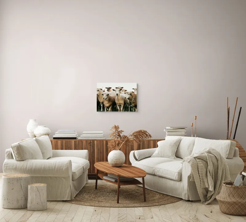 Tablou Canvas, "Oile adunate în zori liniștite", Oi, Turmă, Iarbă, Blană, Apropiere, Natură, Calm, Verde, Pășune, Animale, 54 x 39 cm – poza 5
