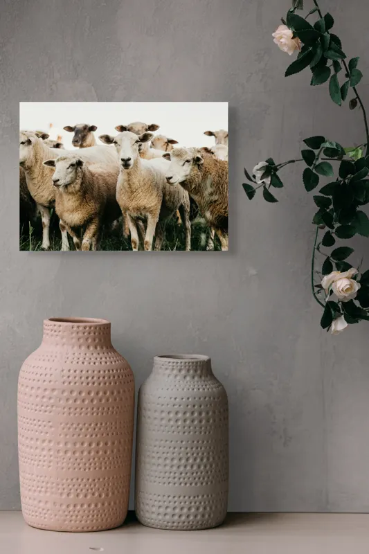 Tablou Canvas, "Oile adunate în zori liniștite", Oi, Turmă, Iarbă, Blană, Apropiere, Natură, Calm, Verde, Pășune, Animale, 54 x 39 cm – poza 8