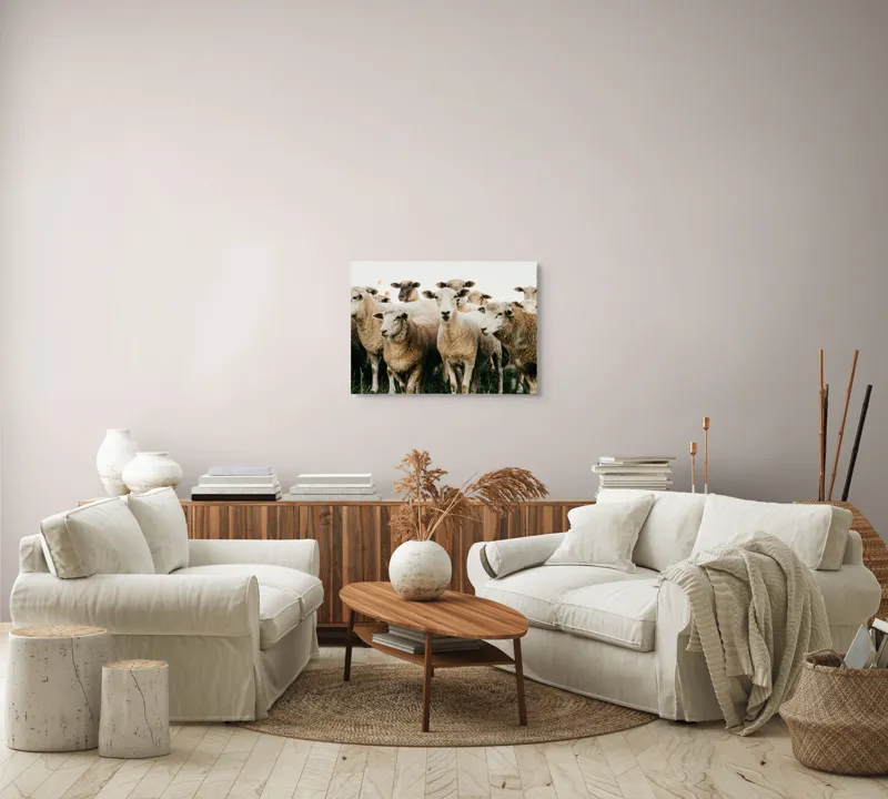 Tablou Canvas, "Oile adunate în zori liniștite", Oi, Turmă, Iarbă, Blană, Apropiere, Natură, Calm, Verde, Pășune, Animale, 70 x 50 cm – poza 6