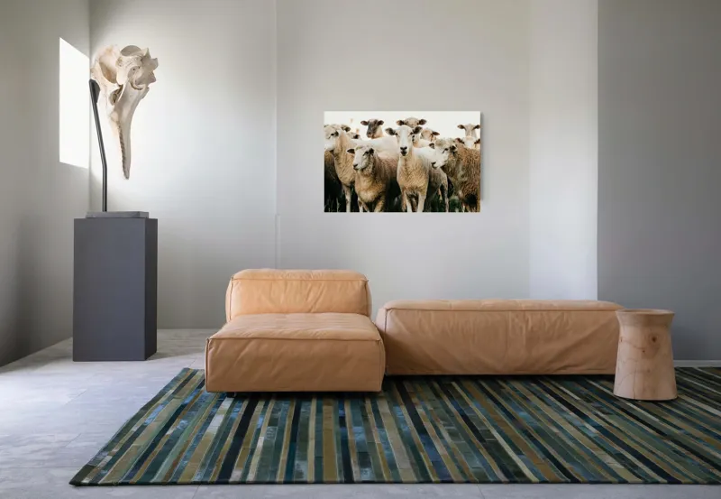 Tablou Canvas, "Oile adunate în zori liniștite", Oi, Turmă, Iarbă, Blană, Apropiere, Natură, Calm, Verde, Pășune, Animale, 90 x 50 cm – poza 8