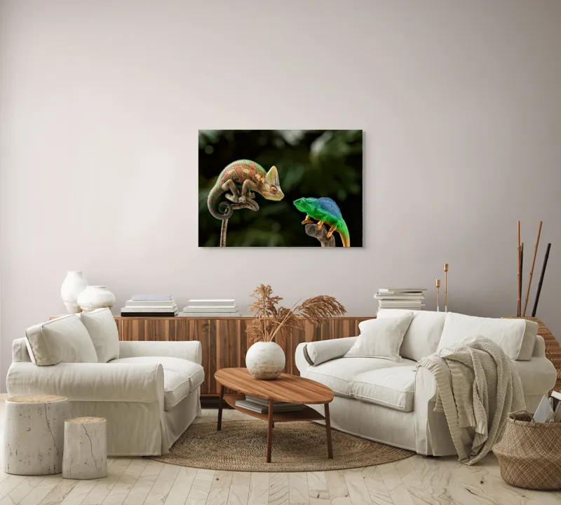 Tablou Canvas, "Cameleonii în dialog subtil cromatic", Chameleon, Encounter, Nature, Curious, Colors, Contrast, Interaction, Exotic, Reptiles, 100 x 70 cm – poza 3