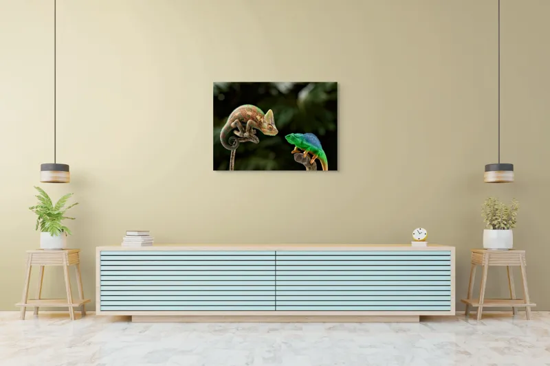 Tablou Canvas, "Cameleonii în dialog subtil cromatic", Chameleon, Encounter, Nature, Curious, Colors, Contrast, Interaction, Exotic, Reptiles, 100 x 70 cm – poza 4