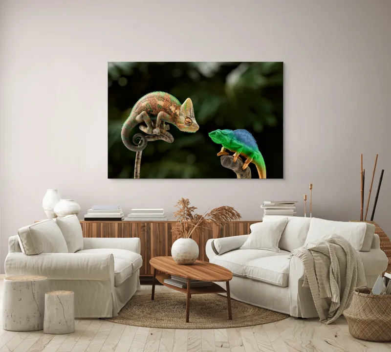 Tablou Canvas, "Cameleonii în dialog subtil cromatic", Chameleon, Encounter, Nature, Curious, Colors, Contrast, Interaction, Exotic, Reptiles, 150 x 100 cm – poza 3