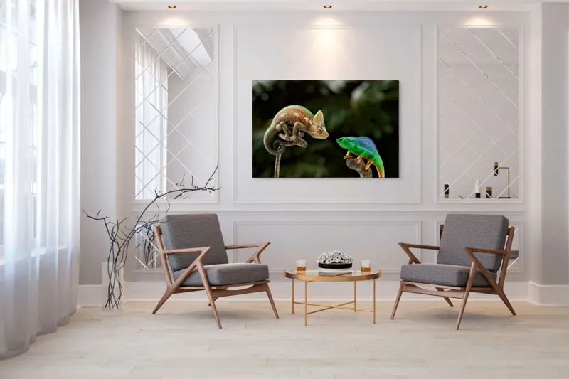 Tablou Canvas, "Cameleonii în dialog subtil cromatic", Chameleon, Encounter, Nature, Curious, Colors, Contrast, Interaction, Exotic, Reptiles, 150 x 100 cm – poza 7