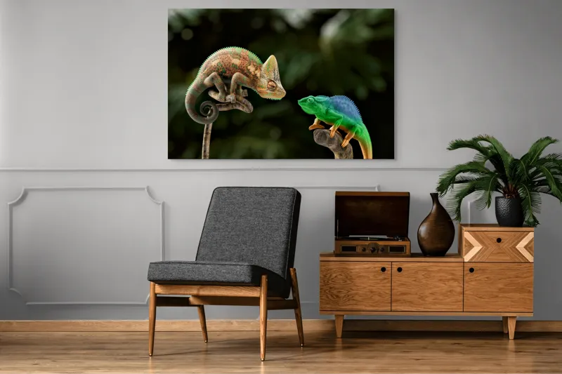 Tablou Canvas, "Cameleonii în dialog subtil cromatic", Chameleon, Encounter, Nature, Curious, Colors, Contrast, Interaction, Exotic, Reptiles, 150 x 100 cm – poza 8