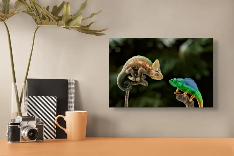 Tablou Canvas, "Cameleonii în dialog subtil cromatic", Chameleon, Encounter, Nature, Curious, Colors, Contrast, Interaction, Exotic, Reptiles, 39 x 26 cm – poza 3