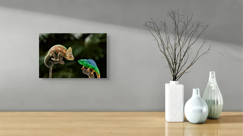 Tablou Canvas, "Cameleonii în dialog subtil cromatic", Chameleon, Encounter, Nature, Curious, Colors, Contrast, Interaction, Exotic, Reptiles, 39 x 26 cm – poza 8