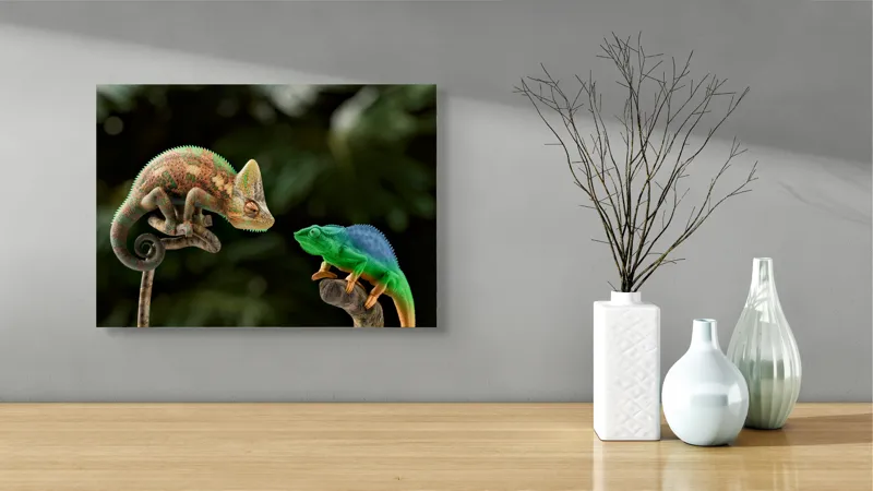 Tablou Canvas, "Cameleonii în dialog subtil cromatic", Chameleon, Encounter, Nature, Curious, Colors, Contrast, Interaction, Exotic, Reptiles, 54 x 39 cm – poza 3