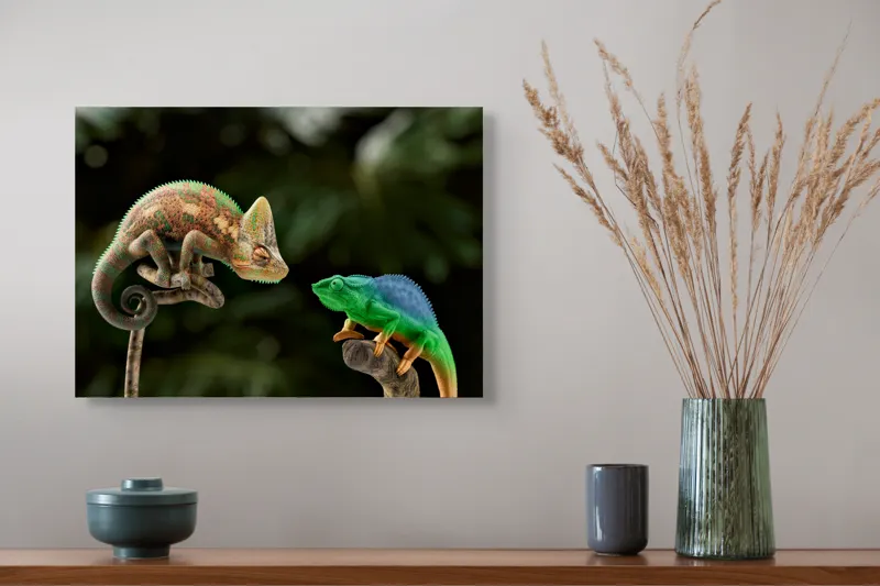 Tablou Canvas, "Cameleonii în dialog subtil cromatic", Chameleon, Encounter, Nature, Curious, Colors, Contrast, Interaction, Exotic, Reptiles, 54 x 39 cm – poza 4
