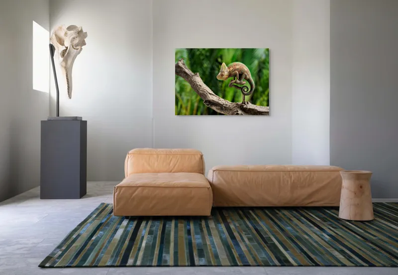 Tablou Canvas, "Cameleon odihnindu-se pe o creangă", Cameleon, Ramură, Verde, Textură, Natură, Piele, Ochi, Fundal, Frunze, Camuflaj, 100 x 70 cm – poza 7