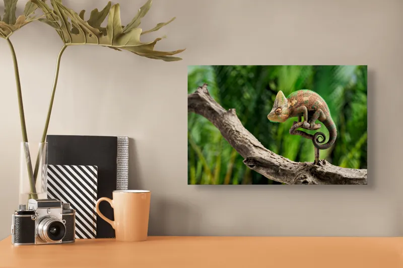 Tablou Canvas, "Cameleon odihnindu-se pe o creangă", Cameleon, Ramură, Verde, Textură, Natură, Piele, Ochi, Fundal, Frunze, Camuflaj, 39 x 26 cm – poza 3