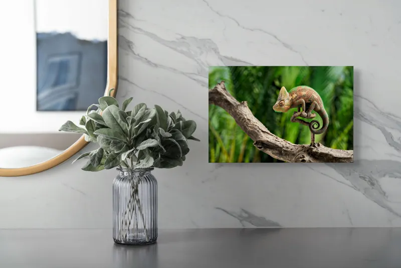 Tablou Canvas, "Cameleon odihnindu-se pe o creangă", Cameleon, Ramură, Verde, Textură, Natură, Piele, Ochi, Fundal, Frunze, Camuflaj, 39 x 26 cm – poza 5