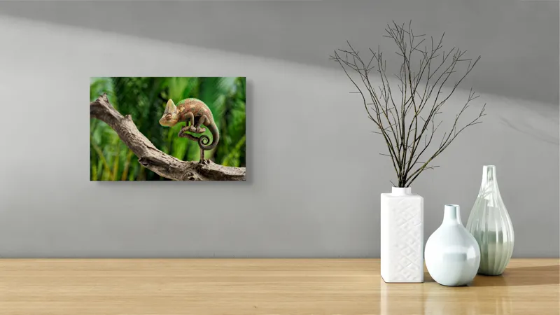 Tablou Canvas, "Cameleon odihnindu-se pe o creangă", Cameleon, Ramură, Verde, Textură, Natură, Piele, Ochi, Fundal, Frunze, Camuflaj, 39 x 26 cm – poza 8