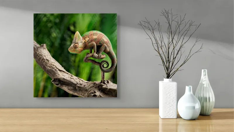 Tablou Canvas, "Cameleon odihnindu-se pe o creangă", Cameleon, Ramură, Verde, Textură, Natură, Piele, Ochi, Fundal, Frunze, Camuflaj, 50 x 50 cm – poza 3