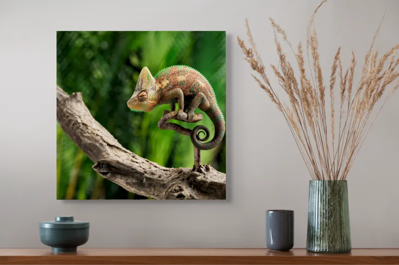 Tablou Canvas, "Cameleon odihnindu-se pe o creangă", Cameleon, Ramură, Verde, Textură, Natură, Piele, Ochi, Fundal, Frunze, Camuflaj, 50 x 50 cm – poza 4