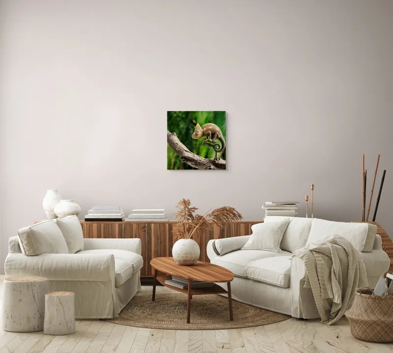 Tablou Canvas, "Cameleon odihnindu-se pe o creangă", Cameleon, Ramură, Verde, Textură, Natură, Piele, Ochi, Fundal, Frunze, Camuflaj, 50 x 50 cm – poza 7