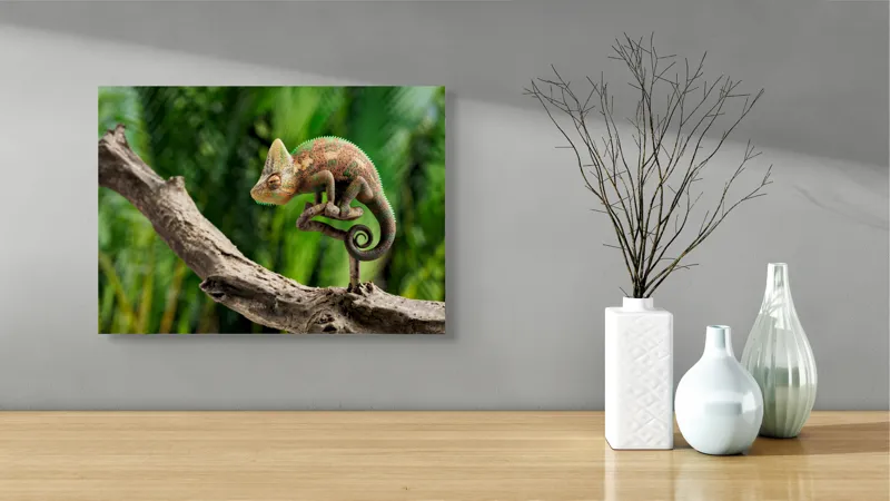 Tablou Canvas, "Cameleon odihnindu-se pe o creangă", Cameleon, Ramură, Verde, Textură, Natură, Piele, Ochi, Fundal, Frunze, Camuflaj, 54 x 39 cm – poza 3