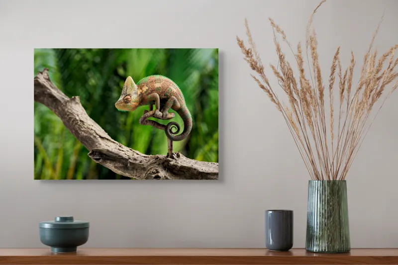 Tablou Canvas, "Cameleon odihnindu-se pe o creangă", Cameleon, Ramură, Verde, Textură, Natură, Piele, Ochi, Fundal, Frunze, Camuflaj, 54 x 39 cm – poza 4