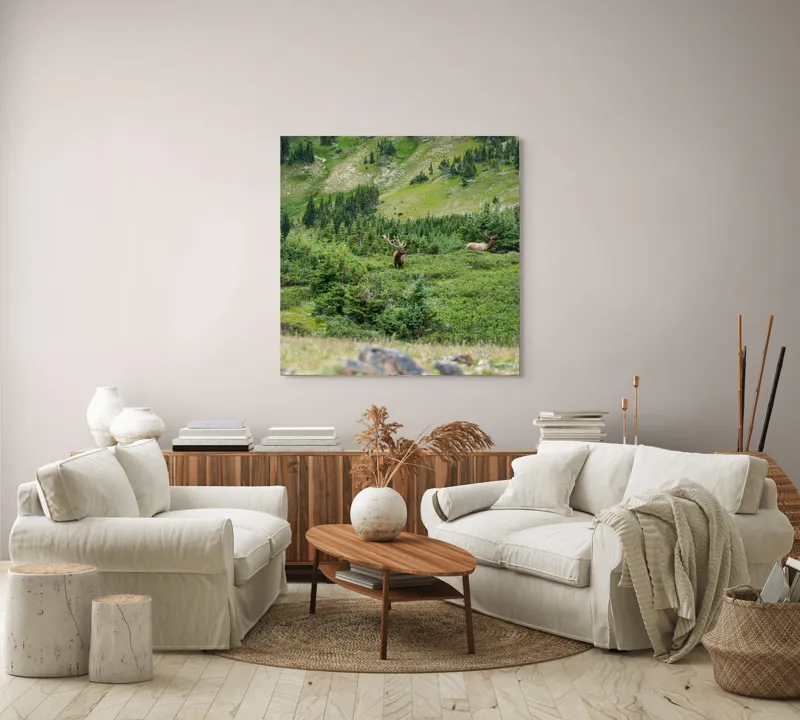 Tablou Canvas, "Elan regal în pădurile de smarald", Cerb, Pădure, Munte, Verdeață, Natură, Liniște, Libertate, Aventura, Peisaj, Sălbăticie, 100 x 100 cm – poza 3