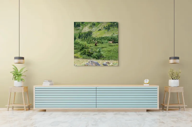 Tablou Canvas, "Elan regal în pădurile de smarald", Cerb, Pădure, Munte, Verdeață, Natură, Liniște, Libertate, Aventura, Peisaj, Sălbăticie, 100 x 100 cm – poza 5
