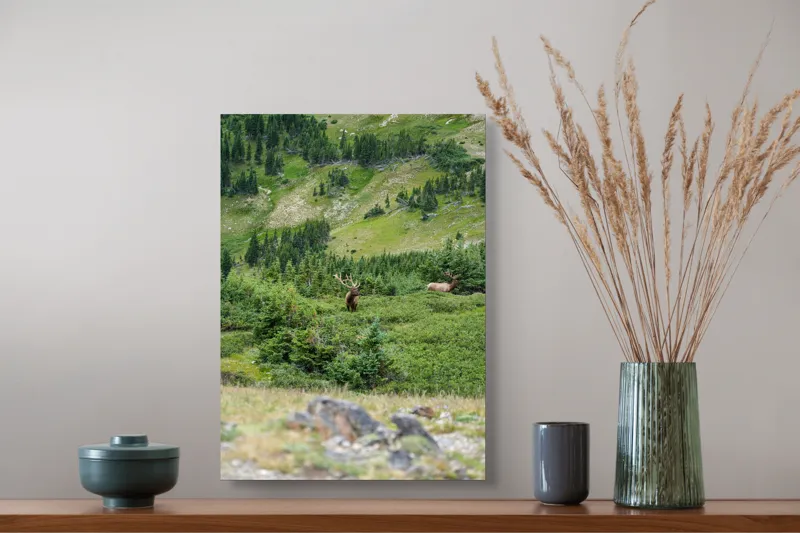 Tablou Canvas, "Elan regal în pădurile de smarald", Cerb, Pădure, Munte, Verdeață, Natură, Liniște, Libertate, Aventura, Peisaj, Sălbăticie, 39 x 54 cm – poza 3