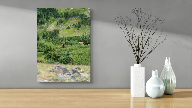 Tablou Canvas, "Elan regal în pădurile de smarald", Cerb, Pădure, Munte, Verdeață, Natură, Liniște, Libertate, Aventura, Peisaj, Sălbăticie, 39 x 54 cm – poza 4