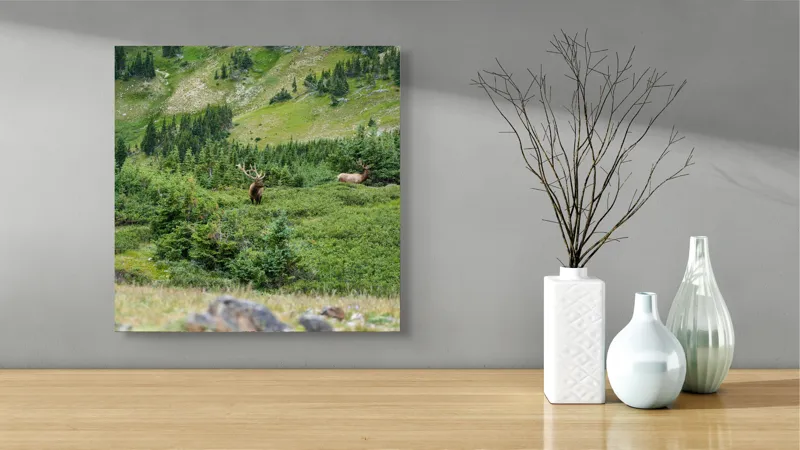 Tablou Canvas, "Elan regal în pădurile de smarald", Cerb, Pădure, Munte, Verdeață, Natură, Liniște, Libertate, Aventura, Peisaj, Sălbăticie, 50 x 50 cm – poza 3