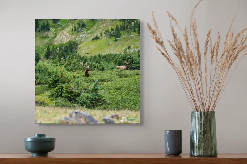 Tablou Canvas, "Elan regal în pădurile de smarald", Cerb, Pădure, Munte, Verdeață, Natură, Liniște, Libertate, Aventura, Peisaj, Sălbăticie, 50 x 50 cm – poza 4