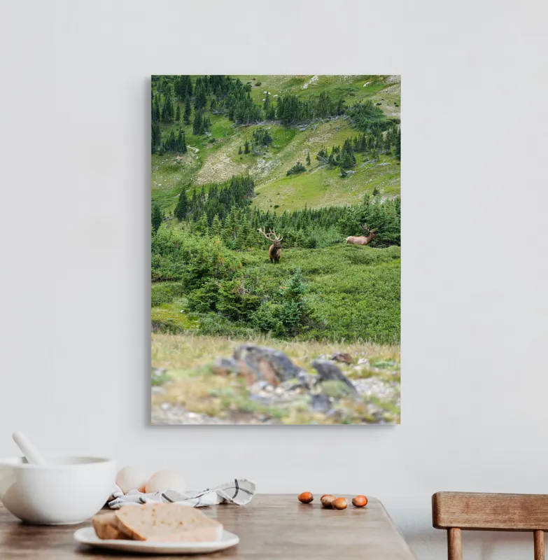 Tablou Canvas, "Elan regal în pădurile de smarald", Cerb, Pădure, Munte, Verdeață, Natură, Liniște, Libertate, Aventura, Peisaj, Sălbăticie, 50 x 70 cm – poza 3