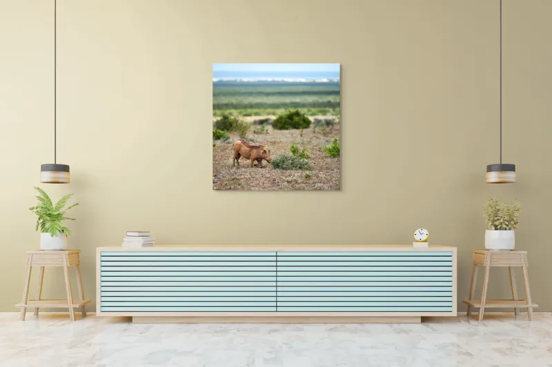 Tablou Canvas, "Mistret rătăcitor în savana africană", Mist, Pășune, Warthog, Vegetație, Serenitate, Orizont, Liniște, 100 x 100 cm – poza 5