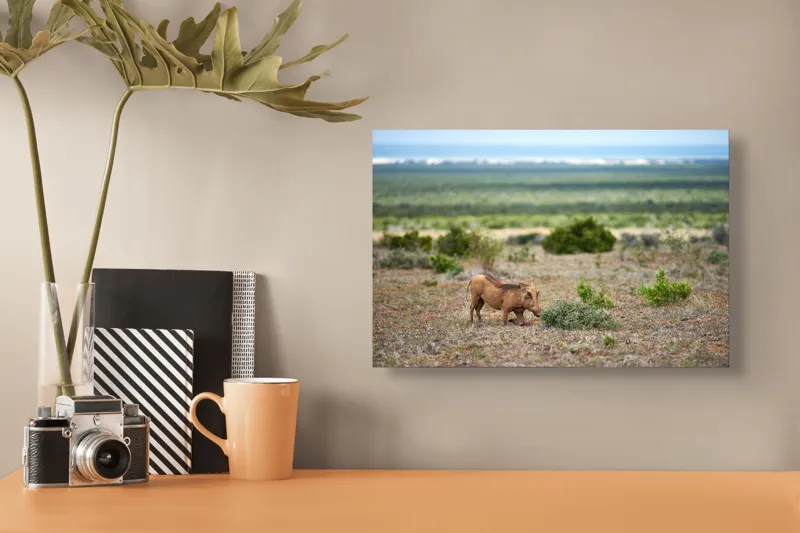 Tablou Canvas, "Mistret rătăcitor în savana africană", Mist, Pășune, Warthog, Vegetație, Serenitate, Orizont, Liniște, 39 x 26 cm – poza 3