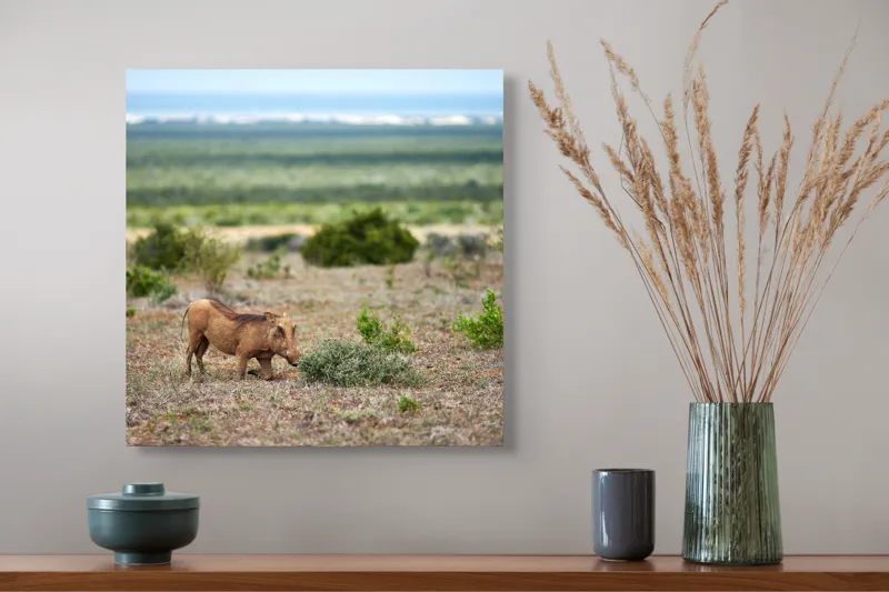 Tablou Canvas, "Mistret rătăcitor în savana africană", Mist, Pășune, Warthog, Vegetație, Serenitate, Orizont, Liniște, 50 x 50 cm – poza 4