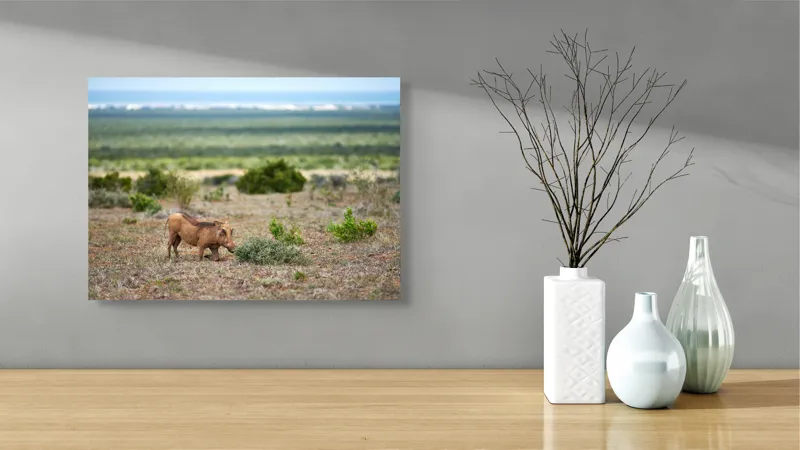 Tablou Canvas, "Mistret rătăcitor în savana africană", Mist, Pășune, Warthog, Vegetație, Serenitate, Orizont, Liniște, 54 x 39 cm – poza 3