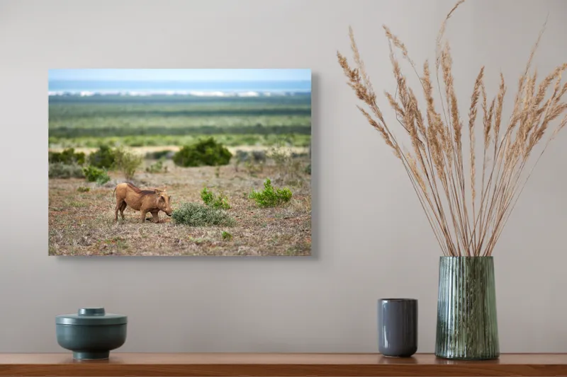 Tablou Canvas, "Mistret rătăcitor în savana africană", Mist, Pășune, Warthog, Vegetație, Serenitate, Orizont, Liniște, 54 x 39 cm – poza 4