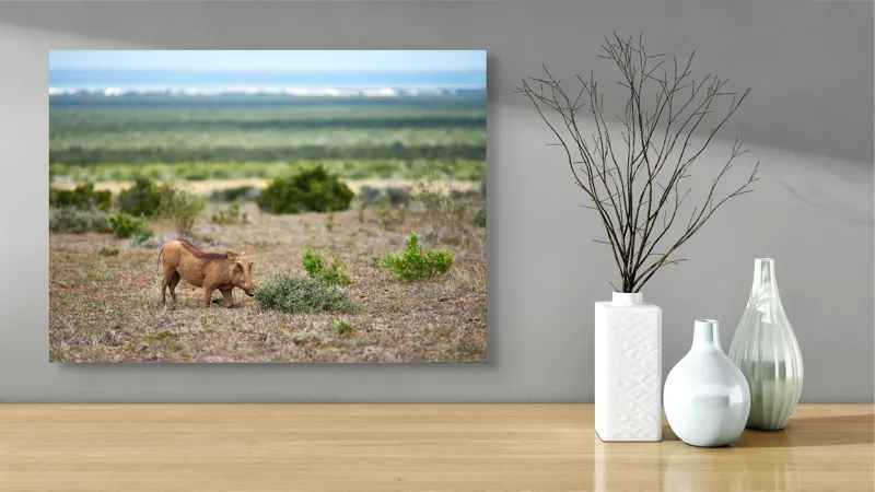 Tablou Canvas, "Mistret rătăcitor în savana africană", Mist, Pășune, Warthog, Vegetație, Serenitate, Orizont, Liniște, 70 x 50 cm – poza 3