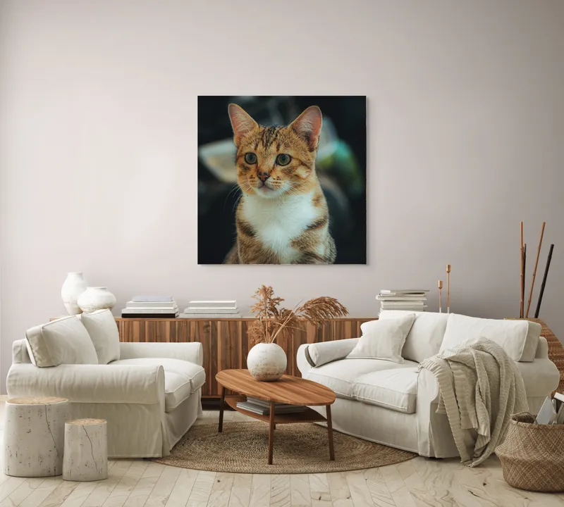 Tablou Canvas, "Pisică atentă în lumină difuză", Pisică, Tigrată, Jucăușă, Atentă, Blândă, 100 x 100 cm – poza 3